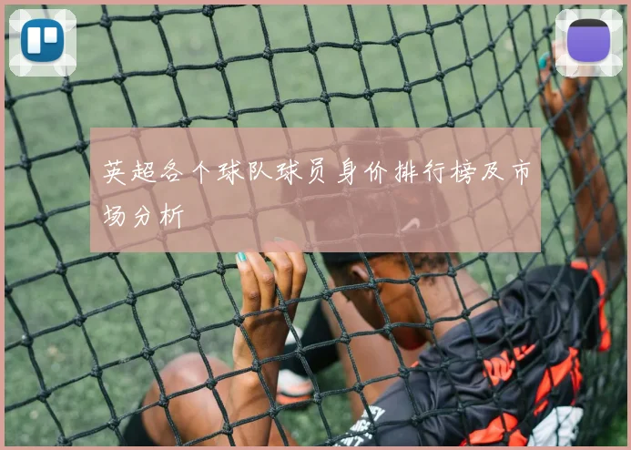 英超各个球队球员身价排行榜及市场分析