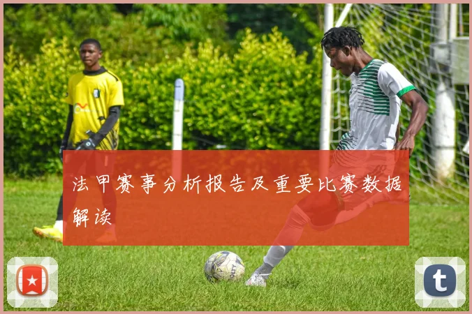 法甲赛事分析报告及重要比赛数据解读