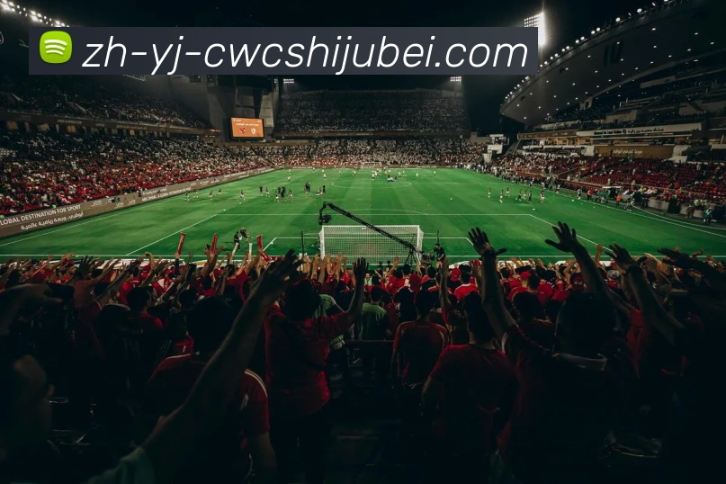 世界杯买球服务体系