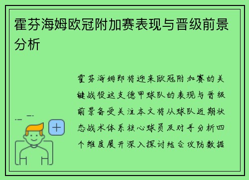 霍芬海姆欧冠附加赛表现与晋级前景分析
